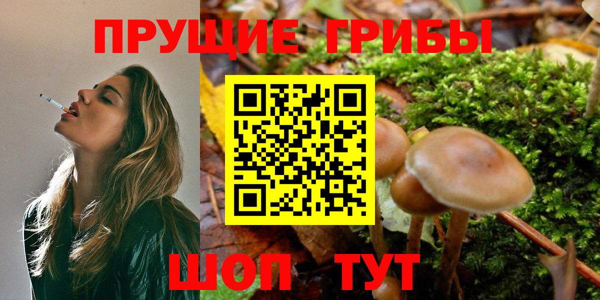 Грязи  Галлюциногенные грибы MAGIC MUSHROOMS  Псилоцибиновые грибы мухоморы  Вход с VPN 
