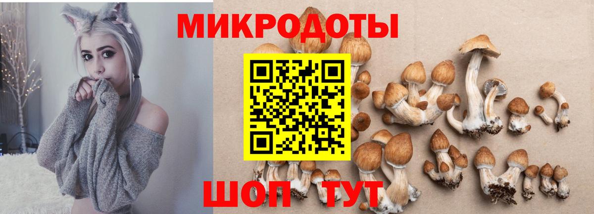 Псилоцибиновые грибы GOLDEN TEACHER Грязи